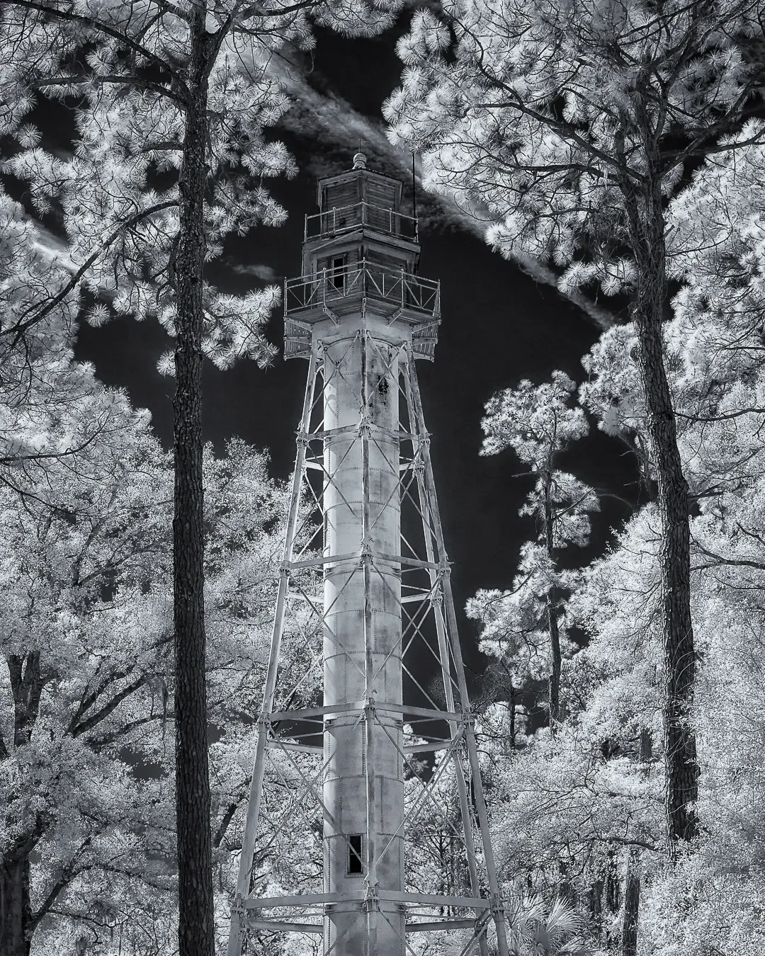 Fine art photograph 10