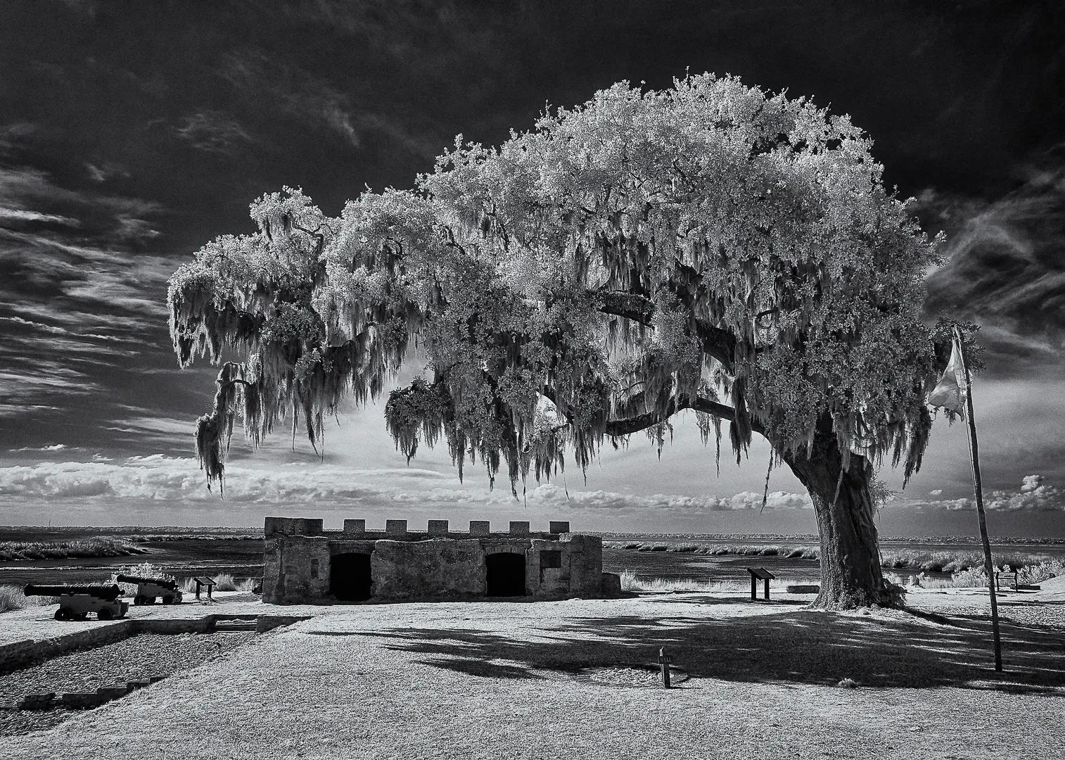 Fine art photograph 11