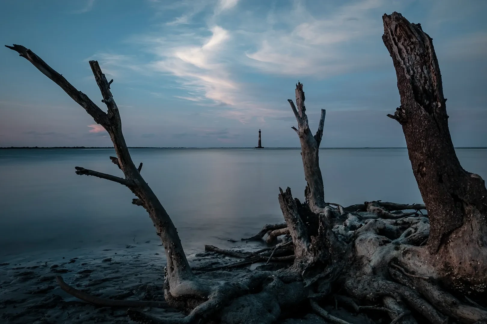 Driftwood and lighthouse at dusk, Morris Island